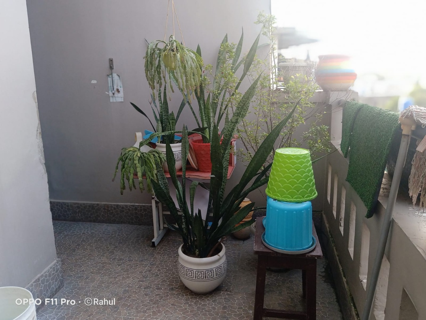 Fully Furnished 3bhk in Six Mile, Guwahati, Assam, India for Rent